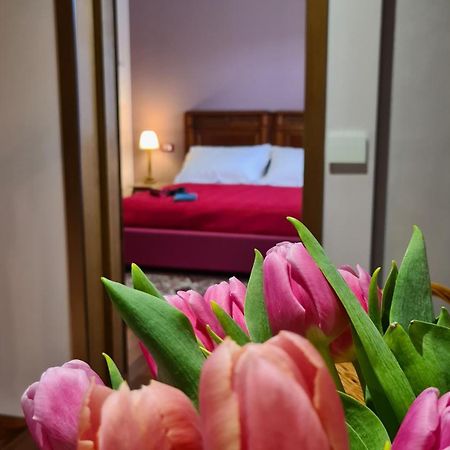 Zi Bitta - Guest House Palmanova Bagian luar foto