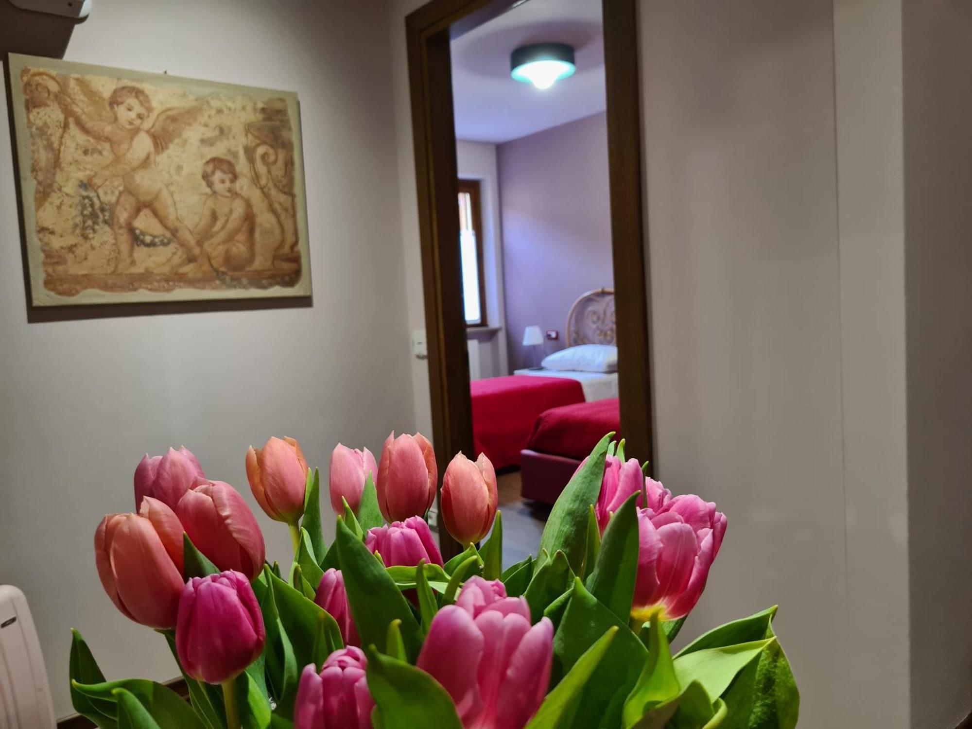Zi Bitta - Guest House Palmanova Bagian luar foto